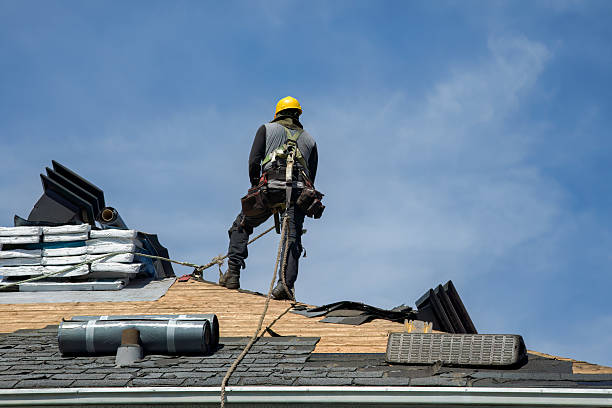 Professional Flat Roof Repair technician working in Lovettsville, VA